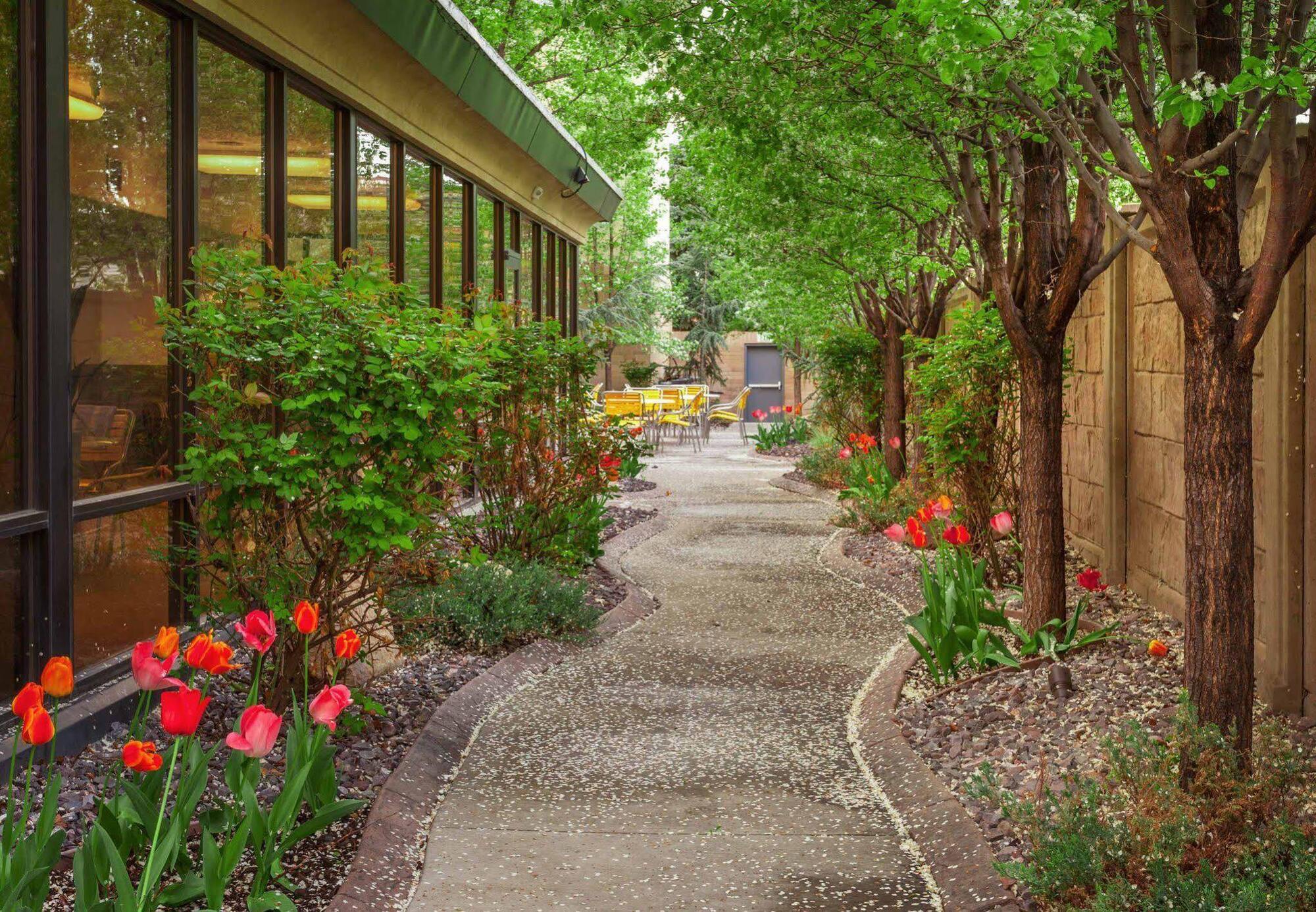 Courtyard By Marriott Salt Lake City Downtown מראה חיצוני תמונה